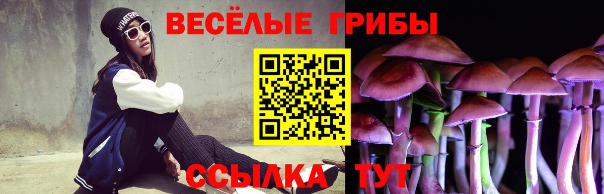 Ачхой-Мартан  Псилоцибиновые грибы MAGIC MUSHROOMS  Вход с VPN 