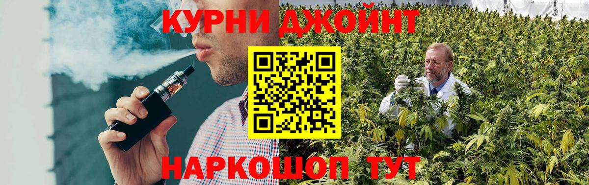 Канабис Amnesia  Вход с VPN  Ачхой-Мартан  Шишки марихуана гибрид  Марихуана сатива 